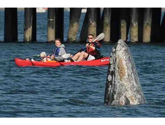 Paddle Sports Center - Donation Certificate for a 1 Hour Rental