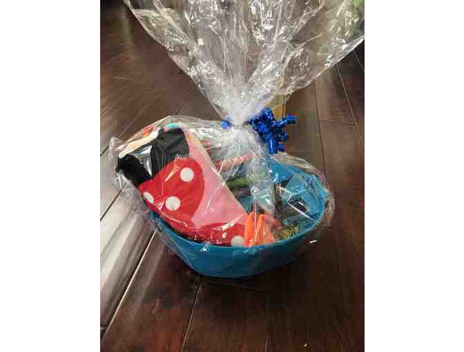 Daland Swim School - 2 Months of Private Lessons and a Goodie Basket