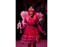 Pinkalicious Appearance at Your Event