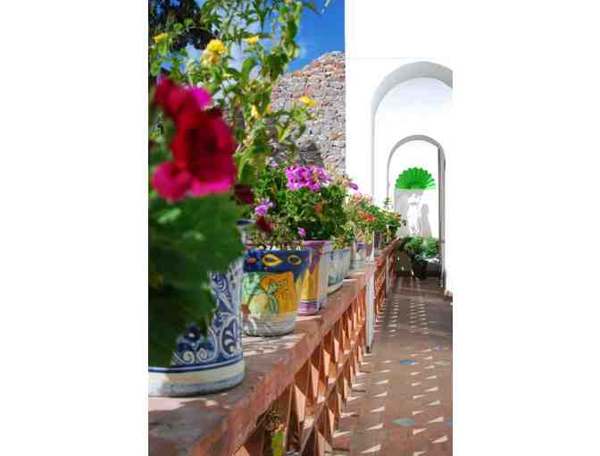 A Week in Beautiful San MIguel de Allende at Villa Mariposa