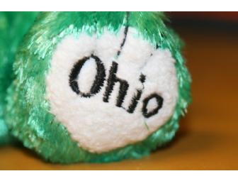 Ohio 4-H Bear