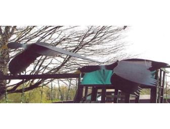 Set of 5 Ornamental Birds for Yard or Garden