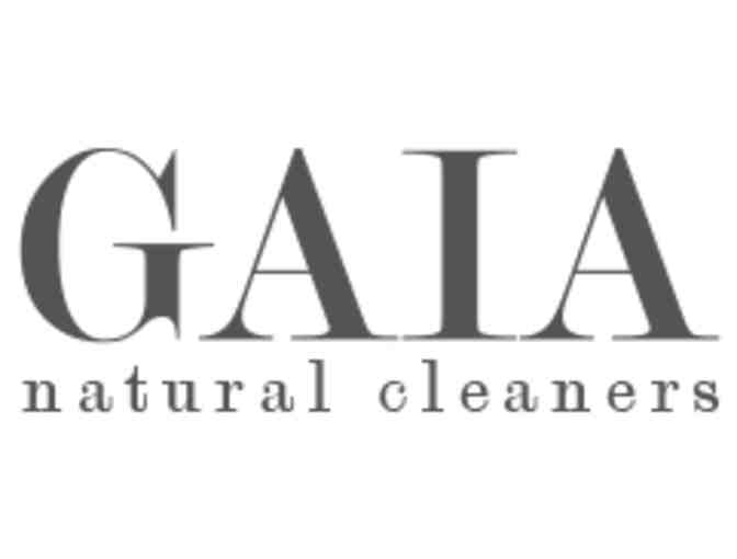 Gaia Natural Cleaning Basket
