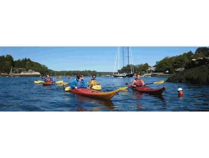Sea Kayak Nature Trip