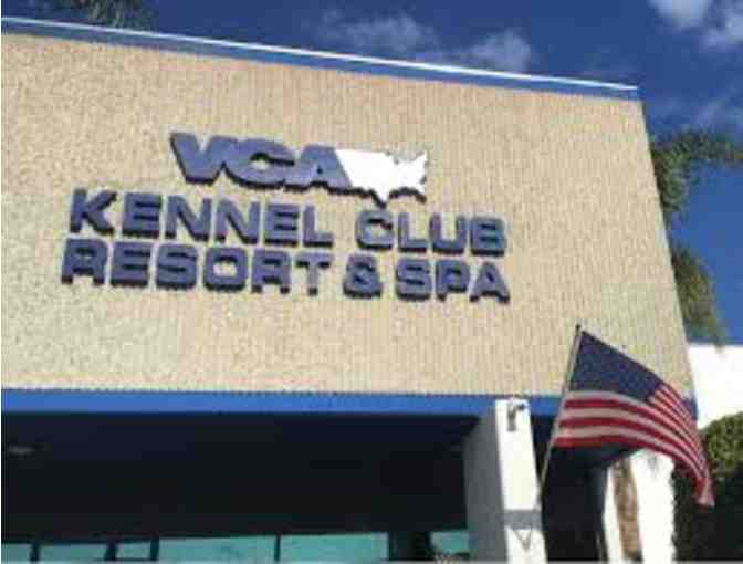 VCA Kennel Club Resort & Spa Basket