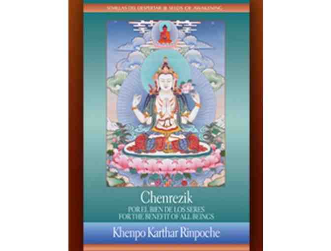 Compassion, Mahamudra & Meditation: Three Dharma Books from KTD Publishing