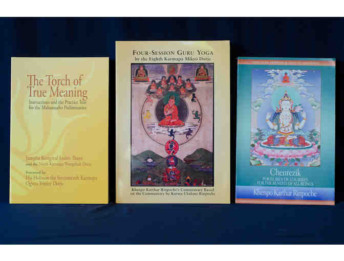 Compassion, Mahamudra & Meditation: Three Dharma Books from KTD Publishing
