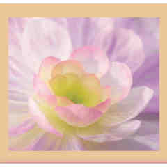 zzz DO NOT USE Lisa Tongel, L.Ac.