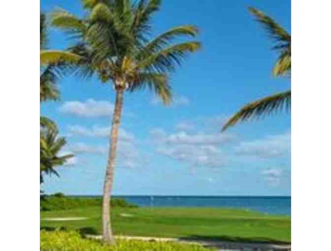 Puntacana Caribbean Package