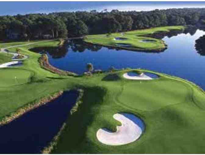8 Rounds of Golf at Robert Trent Jones Golf Trail