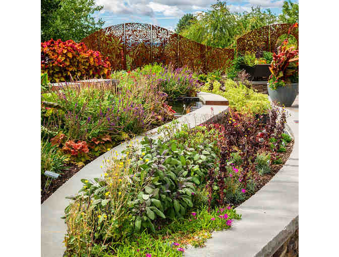 Massachusetts Adventure Package for Science & Nature Lovers!