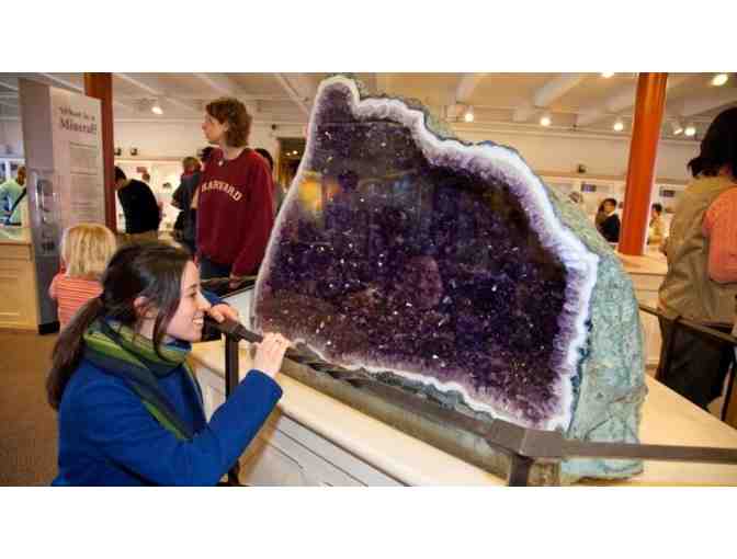 Massachusetts Adventure Package for Science & Nature Lovers!