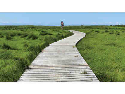 Massachusetts Adventure Package for Science & Nature Lovers!