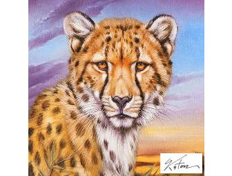 'African Cheetah'