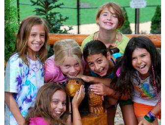 Birthday Party or Mega-Playdate for up to 25 Children @ Gate Hill Day Camp, Stony Point NY
