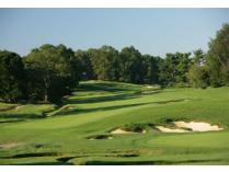 Golfing for Three at Merion Golf Club