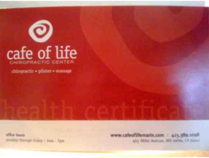 Cafe of Life - Consultation , Examiniation, report findings, and X-rays if Necessary