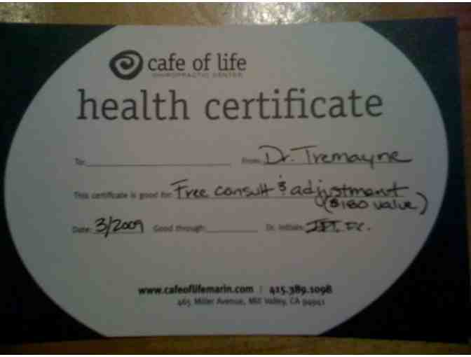Cafe of Life - Consultation , Examiniation, report findings, and X-rays if Necessary