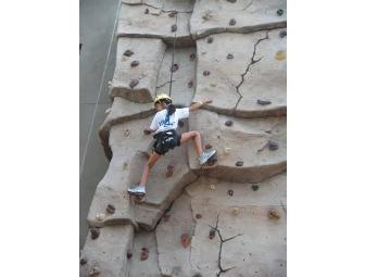 ROCK WALL AND ROPES COURSE - ADVENTURE PLEX