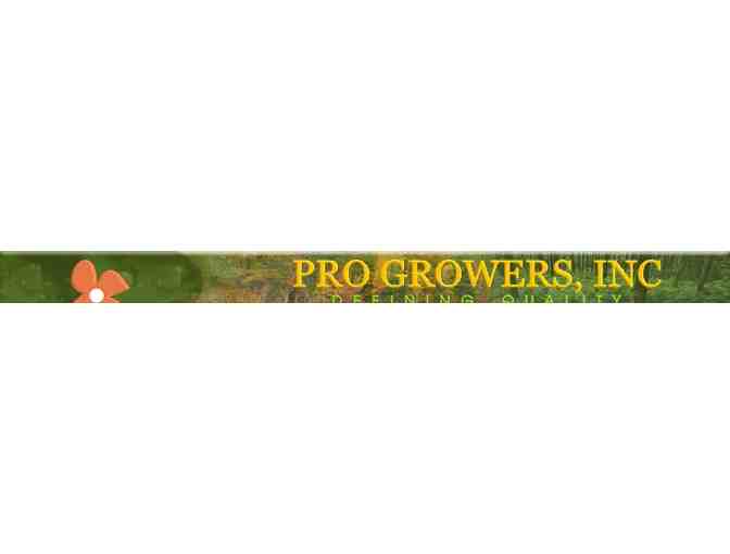 PRO GROWERS- SUMMER IS A GREAT TIME TO LANDSCAPE YOUR HOME