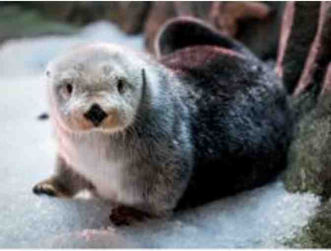 AQUARIUM OF THE PACIFIC FOR TWO