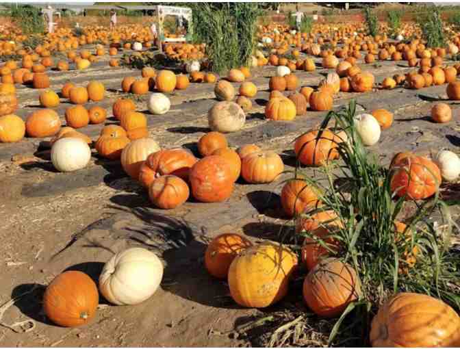 TANAKA FARMS FOR 4 - GIFT CERTIFICATE VALID FOR ENTRY TO TANAKA FARMS