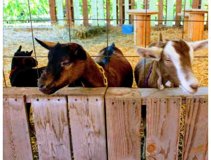 TANAKA FARMS FOR 4 - GIFT CERTIFICATE VALID FOR ENTRY TO TANAKA FARMS