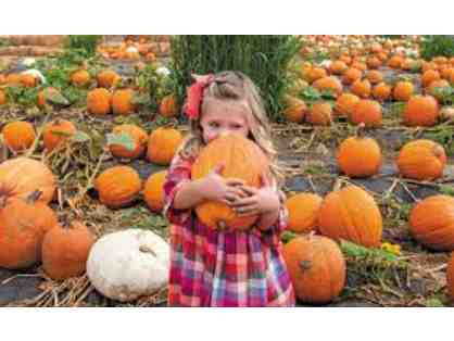 TANAKA FARMS FOR 4 - GIFT CERTIFICATE VALID FOR ENTRY TO TANAKA FARMS