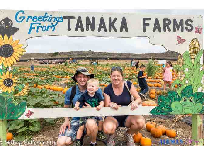 TANAKA FARMS FOR 4 - GIFT CERTIFICATE VALID FOR ENTRY TO TANAKA FARMS