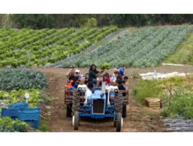 TANAKA FARMS FOR 4 - GIFT CERTIFICATE VALID FOR ENTRY TO TANAKA FARMS
