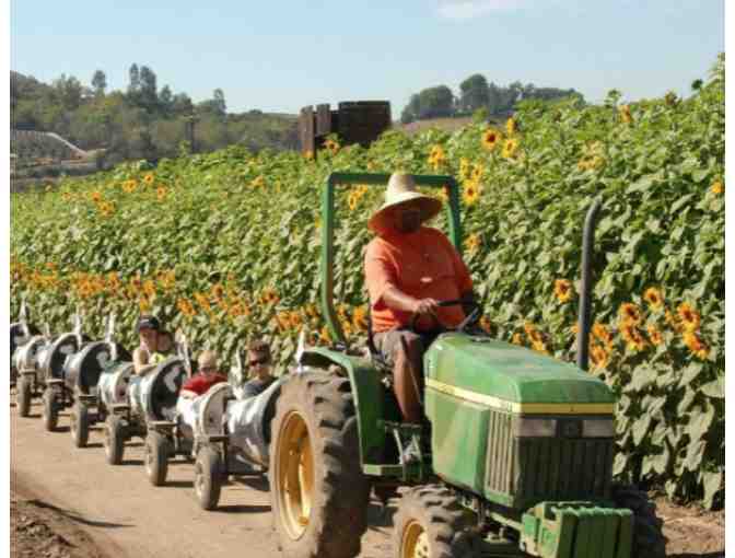 UNDERWOOD FAMILY FARMS SEASON PASS FOR 4