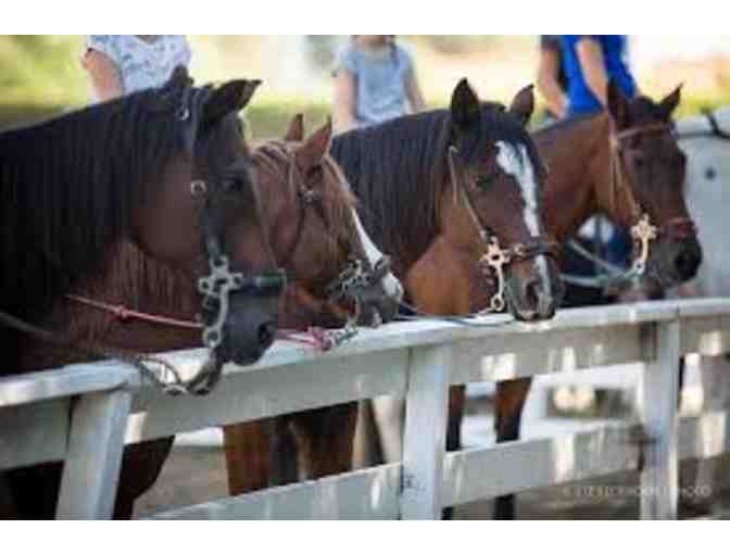 MYSTIC CANYON HORSE LESSONS