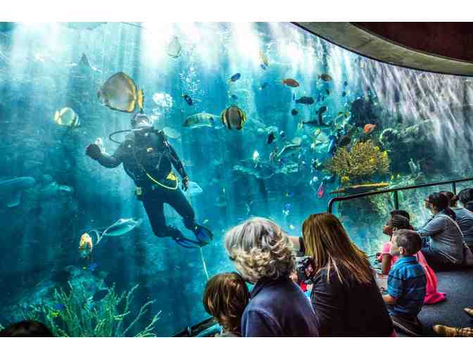 AQUARIUM OF THE PACIFIC FOR TWO
