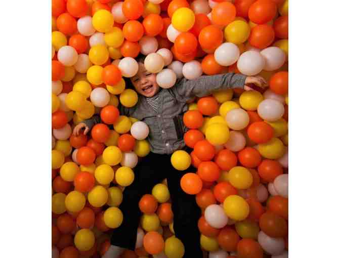 THE COOP SOUTH BAY ONE MONTH UNLIMITED PLAY FAMILY PASS