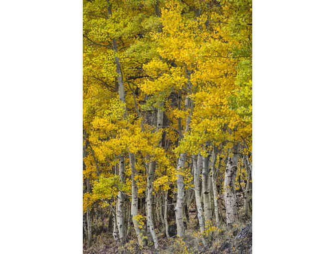 Creative Photo Academy $100- Photo Classes Beginner to Advanced