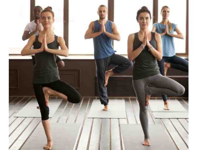 NOVO YOGA- WARM YOGA