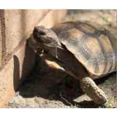 Chidren's Discovery Museum of the Desert