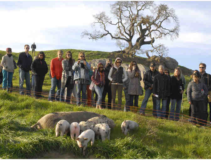 VIP Tour of local sustainable farm