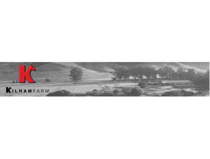 Family horse riding lesson