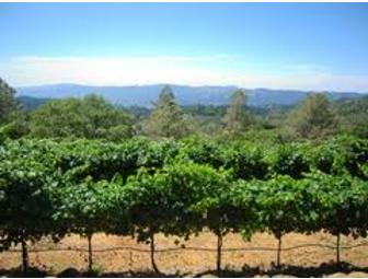 Paradigm Cottage and Darioush Winery Tour + $50 gift certificate to Carpe Diem Wine Bar