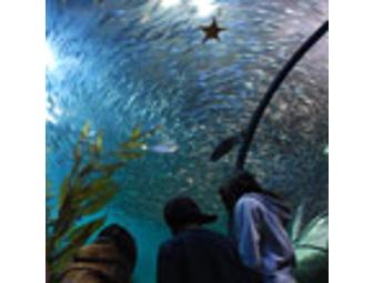 Pier 39 Family Fun Package-includes boat tour, carousel, 7D ride, Aquarium and more!