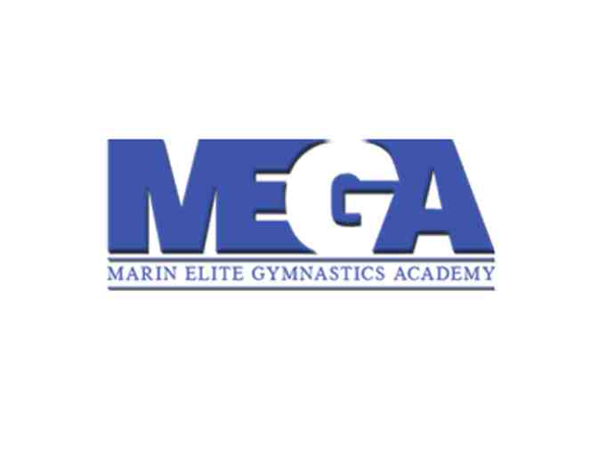 Marin Elite Gymnastics Academy Gift Basket