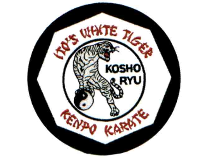 Ito's White Tiger - Martial Arts Classes