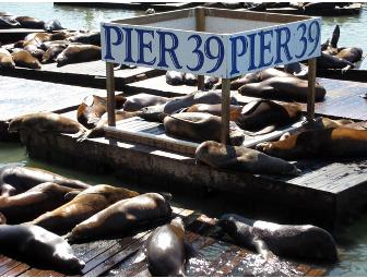 Pier 39 Fun Pack for Family of Four