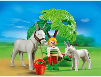 Two Playmobil Sets for Animal Loving Kids: Birds, Donkey and Foals