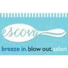 Escova Salon