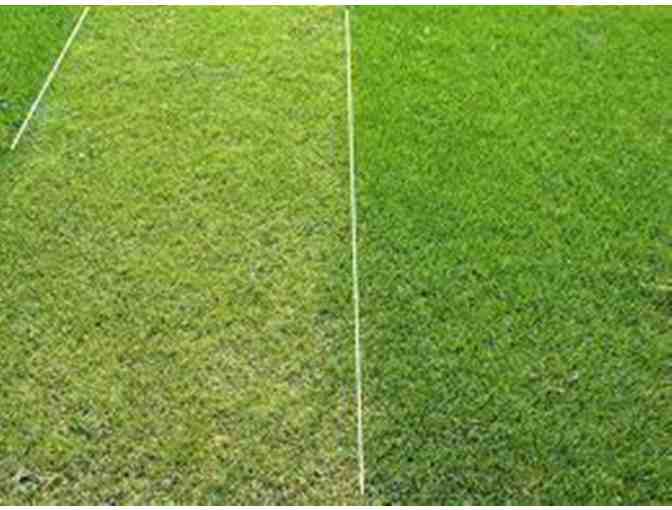 Pkg #1-Turf Application, Stump Removal, Equipment Rental Certificates and 2 Qrt Kettle