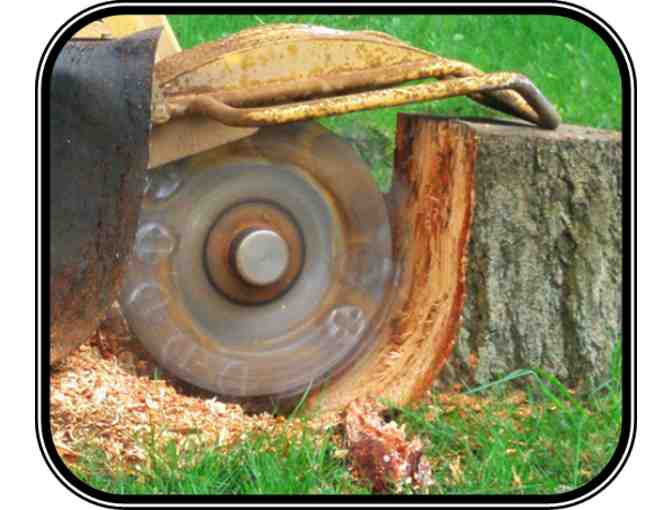 Pkg #1-Turf Application, Stump Removal, Equipment Rental Certificates and 2 Qrt Kettle