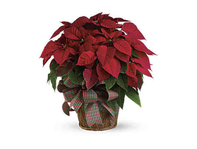 Pkg #99-Camping Gear, Seasonal Arrangements for a Year