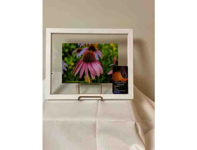 Pkg #105-Water Flosser, Birthday Party Package, Framed Print and More.